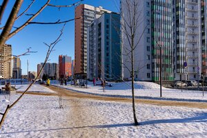 Grafskaya Street, 11, Murino: photo