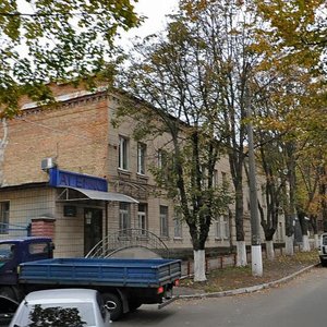 Polkovnyka Shutova Street, 18, Kyiv: photo