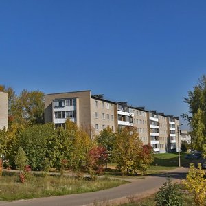 Proletarskaya Street, 12, Elabuga: photo