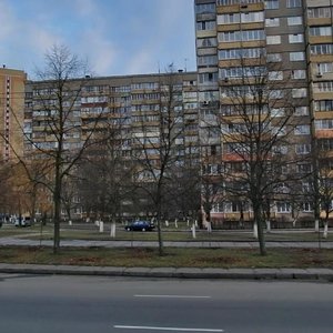 Heorhiia Honhadze Avenue, 18Г, Kyiv: photo