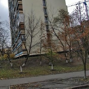 Velyka Vasylkivska Street, 124, Kyiv: photo