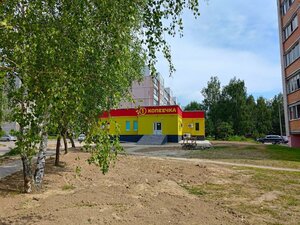 Могилёв, Краснозвёздная улица, 54: фото