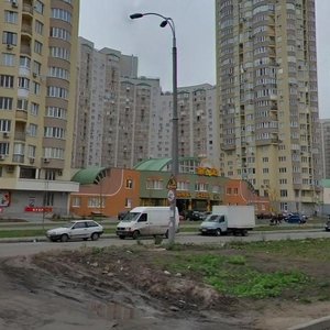 Anny Akhmatovoi Street, 48А, Kyiv: photo