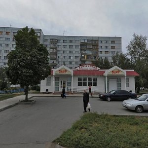 Borodina Street, 3А, Penza: photo