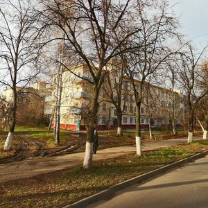 Ilicha Avenue, 11, Nizhny Novgorod: photo