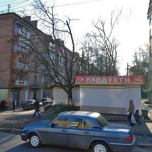 Oleny Telihy Street, 17, Kyiv: photo