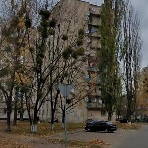 Dmytra Lutsenka Street, 15, Kyiv: photo