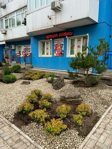 Sabaneeva Street, 16В, Vladivostok: photo