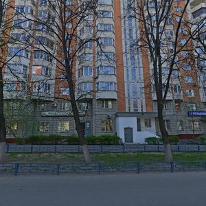 Bolotnikovskaya Street, 31к1, Moscow: photo