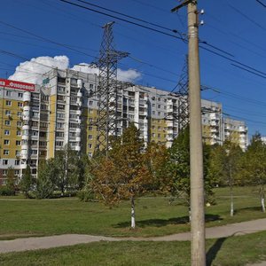Novo-Sadovaya Street, 232, Samara: photo
