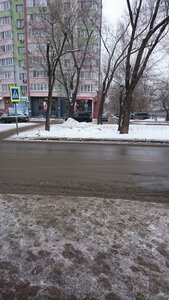 Revolutsionnaya Street, 130, Samara: photo