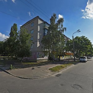 Popudrenka Street, 32, Kyiv: photo