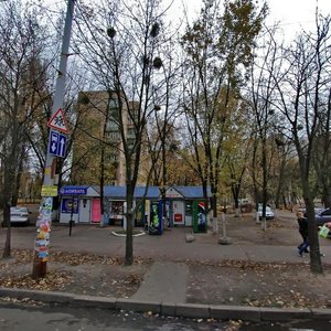 Tuluzy Street, 4А, Kyiv: photo