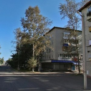 Ulitsa Postysheva, 3, Birobidgan: photo