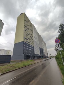 Peyzazhnaya Street, 24к1, Saint Petersburg: photo