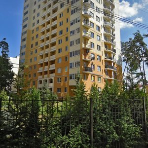 Vulytsia Valeriia Lobanovskoho, No:7, Kiev Bölgesi: Fotoğraflar