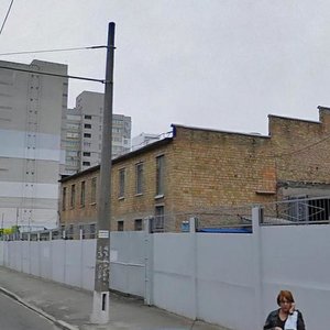 Volodymyra Sikevycha Street, 22, : foto