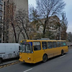 Povitroflotskyi Avenue, 58, Kyiv: photo