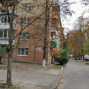 Akademika Dobrokhotova Street, 9, Kyiv: photo