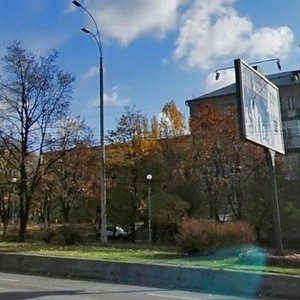 Druzhby Narodiv Boulevard, 12Б, Kyiv: photo