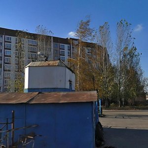 Novosyolov Street, 58А, Ryazan: photo