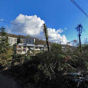 Darvina Street, 101, Sochi: photo