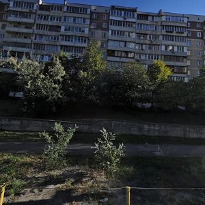 Tetiany Yablonskoi Street, 1, Kyiv: photo