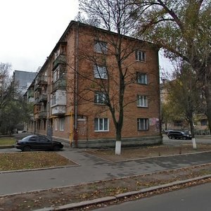 Ushynskoho Street, 17, Kyiv: photo