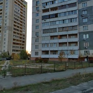Vyshniakivska Street, 3, Kyiv: photo