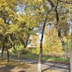 Murmanskaya Street, 52, : foto