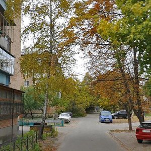 Vulytsia Frenkelia, 5А, Boryspil: photo