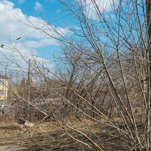 Kislorodnaya Street, 8А/1, Yekaterinburg: photo