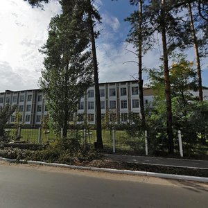 Severynivska vulytsia, 129А, Irpin: photo