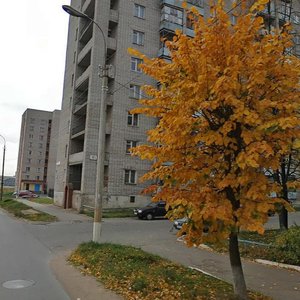 Voroshilova Street, 91, Izhevsk: photo