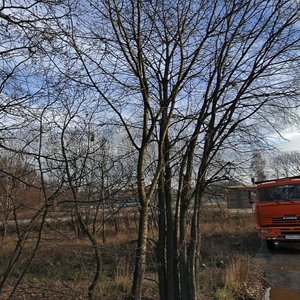 Novosyolkovskaya ulitsa, 7, Ryazan: photo