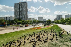 Москва, Большая Черкизовская улица, 20к1: фото