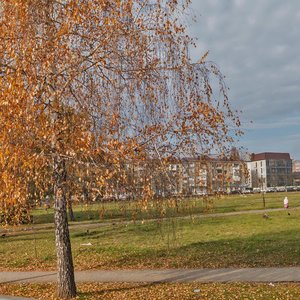 Ordzhonikidze Street, 15, : foto