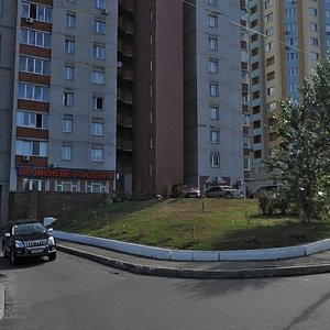 Saperno-Slobidska Street, 8к1, : foto