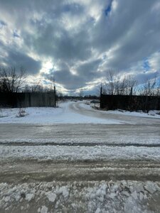 Pushkina Street, 140А, Skopin: photo