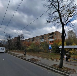 Vyshhorodska Street, 36, Kyiv: photo