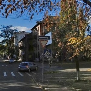 Mezhihirska Street, 49/21, Kyiv: photo