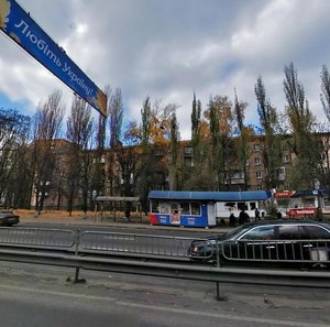Oleny Telihy Street, 37, Kyiv: photo
