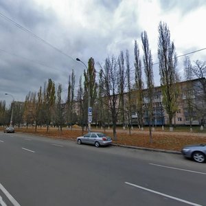 Koltsova Boulevard, 20 ، كييف: صورة