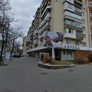 Velyka Vasylkivska Street, 101, Kyiv: photo