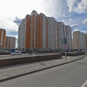 Zaschitnikov Moskvy Avenue, 14, Moscow: photo