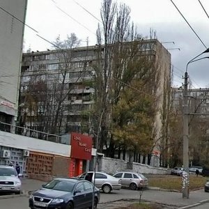 Druzhby Narodiv Boulevard, 3А, Kyiv: photo