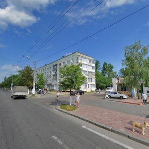 Chudnivs'ka Street, 96, Zhytomyr: photo