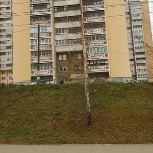 Germana Lopatina Street, 3к1, Nizhny Novgorod: photo