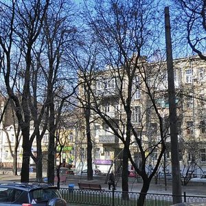 Bulvarno-Kudriavska Street, 10, Kyiv: photo