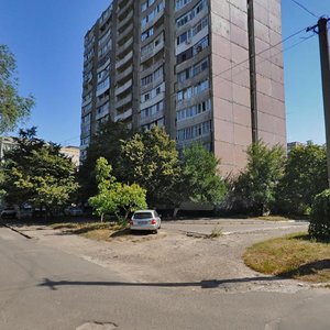 Baikalska Street, 84, Dnipro: photo